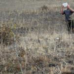 cambria2014_071 (October 25, 2013)